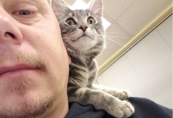 A police officer rescues a kitten that was used as a bait, but unexpectedly falls in love with a different kind of police cat