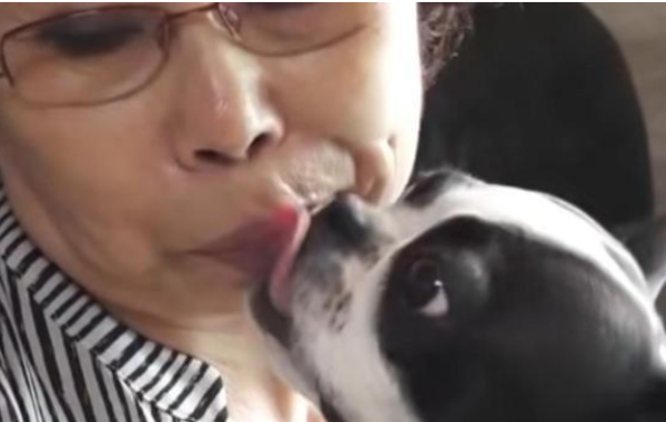 So amazing! Owner fed dog by mouth for 6 years and let dog suck on his arm