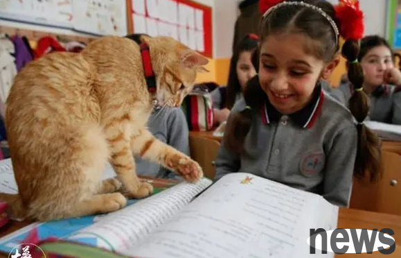 The world-famous bustling metropolis can be called