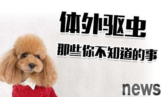 Teach you step by step in 3 minutes how to deworm your dog by yourself